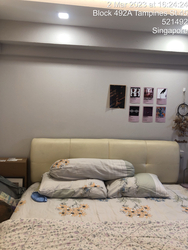 Blk 491G Tampines Street 45 (Tampines), HDB 5 Rooms #396339861